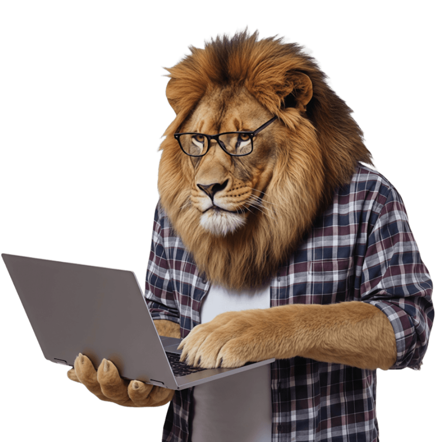 LionTech IT Solutions
